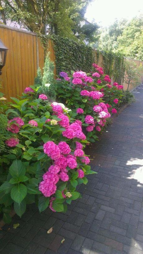 Hotel Refrather Hof Bergisch Gladbach Esterno foto