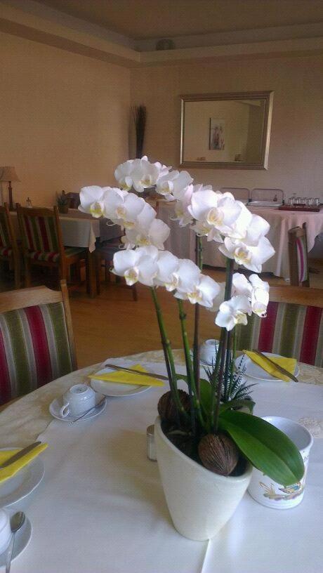 Hotel Refrather Hof Bergisch Gladbach Esterno foto